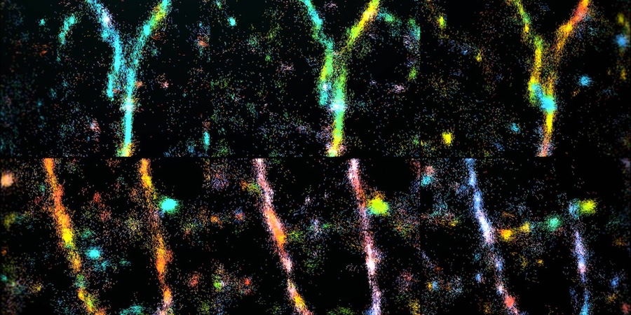 Time-lapse single-molecule orientation-localization microscopy (SMOLM) of amyloid beta (A&beta;42) fibrils undergoing remodeling, taken over 10 minutes, shown as a multi-colored mosaic. Transiently binding and flashing Nile blue (NB) molecules enable the nanoscale architectures of growing and decaying regions in fibrils to be visualized as these multicolored forks. Credit: WashU/Lew lab.
