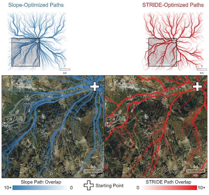 Simulation of a scenario in which emergency responders are planning to rescue an injured hiker. From a central point, the authors chose 1,000 random destinations and mapped hiking routes using two different models: one that only accounted for slope steepness, and one based on STRIDE. STRIDE (right, red) reused established paths as long as possible before branching off, identifying the routes most intuitive for somebody on the ground. The slope-only model (left, blue) generated few overlapping pathways with little regard for roads or trails. Credit: University of Utah/Scientific Reports.