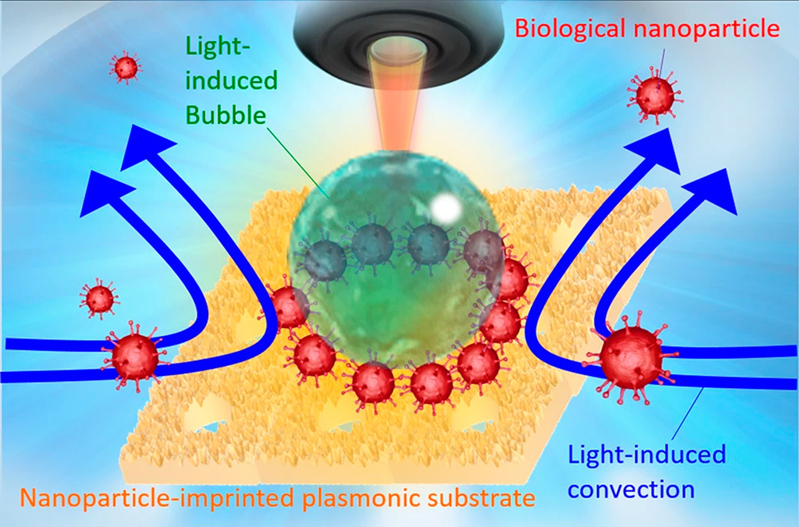 Schematic diagram of optical condensation of protein-modified biological nanoparticles using light-induced convection and light-induced bubble from an NPI-PS. Credit Osaka Met U / NPJ Biosensing.