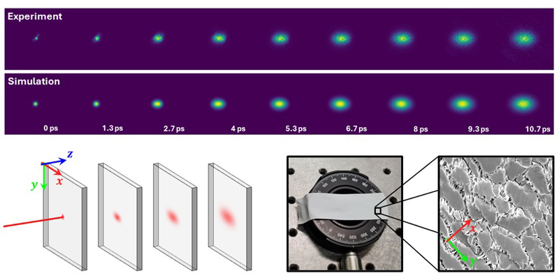 Transient imaging reveals direction-dependent light propagation through a scattering medium, in excellent agreement with simulations. The technique enables full characterization of structurally anisotropic materials (e.g., Teflon tape). Credit: E. Pini et al., doi 10.1117/1.APN.3.5.056017