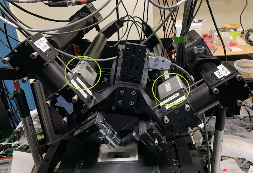 The polarized diSPIM, constructed in the Shroff lab at NIH after the idea was conceived at the MBL. Liquid crystals used for polarized illumination shown in green circles. The diSPIM's dual-view paths meet at a right angle on the sample. Credit: Min Guo.
