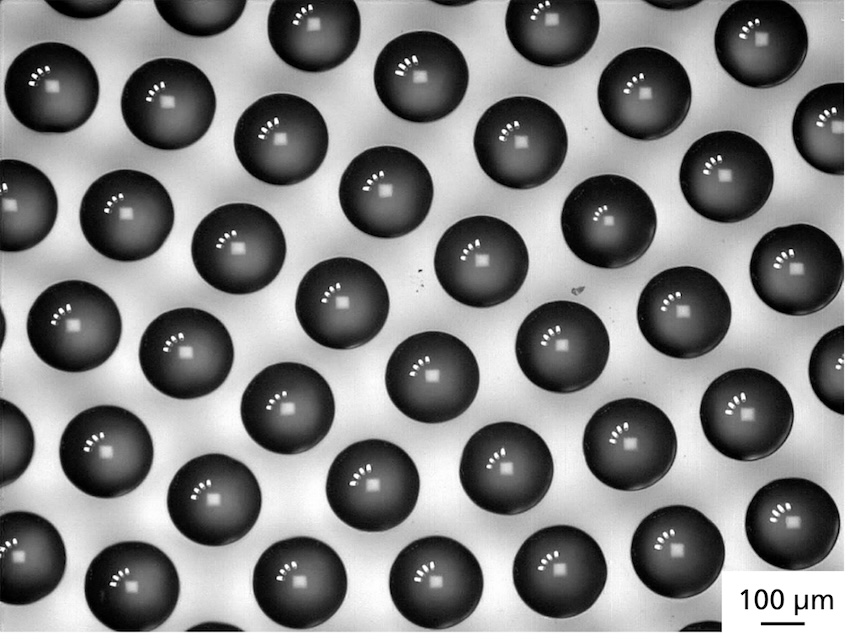 The laser swelling method can be used to produce microlenses and arrange them with great flexibility on eyeglass polymers. Credit: Fraunhofer IMWS.