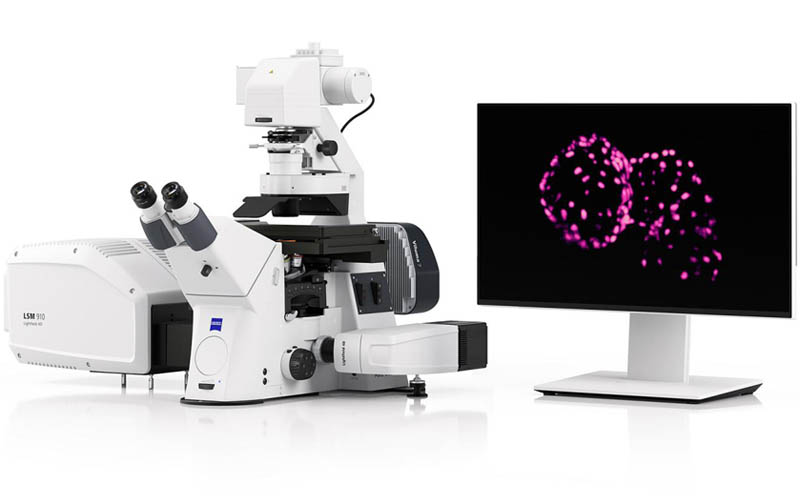 Lightfield 4D enables instant volumetric high-speed fluorescence imaging, capturing physiological and neuronal processes in 3D. Photo: Zeiss.