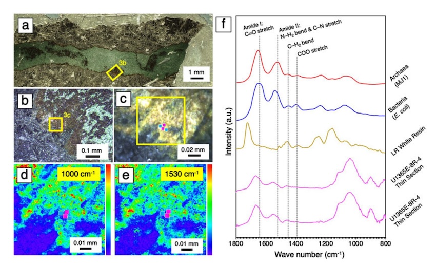 Photographs of a nontronite-bearing fracture in the thin section from the rock core interior, with intensity maps of optical photothermal infrared (O-PTIR) spectra. Credit: University of Tokyo/International Journal of Astrobiology.
