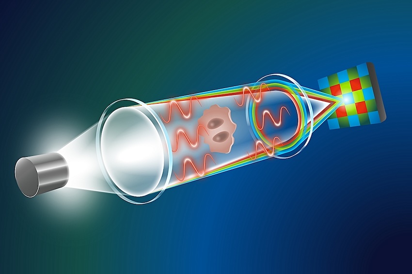 Different colors of light brought to focus at different distances from the lens causes chromatic aberration. By introducing a detector able to capture red, green and blue images separately, the phase shifts introduced by the specimen can now be computed from these separate images using an AI model. Credit: HZDR/blrck.de.