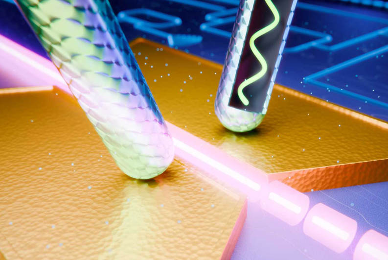 <cap> The modulator (in gold) transfers the information from an electrical wave to an optical one.   Illustration: Johannes Grewer / Polariton Technologies.
