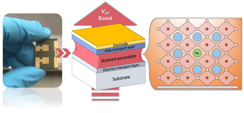 Strain-induced Rb incorporation boosts open-circuit voltage in wide bandgap perovskite solar cells. Credit: Zheng et al 2025. DOI: 10.1126/science.adt3417
