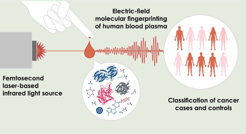 EMF method gives disease-specific information. Credit: MPQ/ACS Central Science. (Index page thumbnail: angellodeco/Shutterstock via MPQ.)