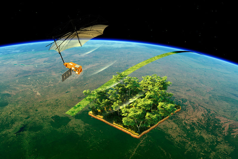 Seeing the wood through the trees. Credit: ESA.