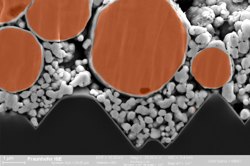 Colorized scanning electron microscope image of a contact printed with silver-coated copper paste, developed at Fraunhofer ISE. &copy; Fraunhofer ISE / Photo: Oumaima Mhirsi.
