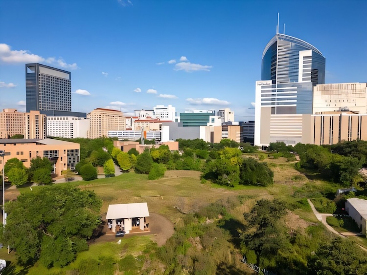The soil used in this study was collected from Harris Gully, a restored watershed and natural area on Rice University campus. Credit: Brandon Martin/Rice University.