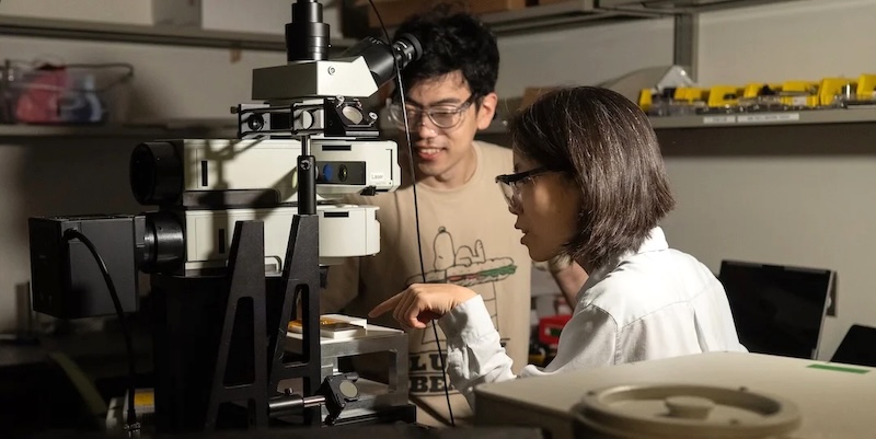 Ziyang Wang and Shengxi Huang of Rice University. Their new algorithm improves the interpretation of optical spectra. Credit: Jeff Fitlow/Rice University.