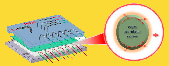 The new polymer whispering-gallery-mode microlaser sensor is easier to integrate into lab-on-a-chip devices, which could enable early disease diagnosis. Credit: A Ping Zhang, Hong Kong Polytechnic University.