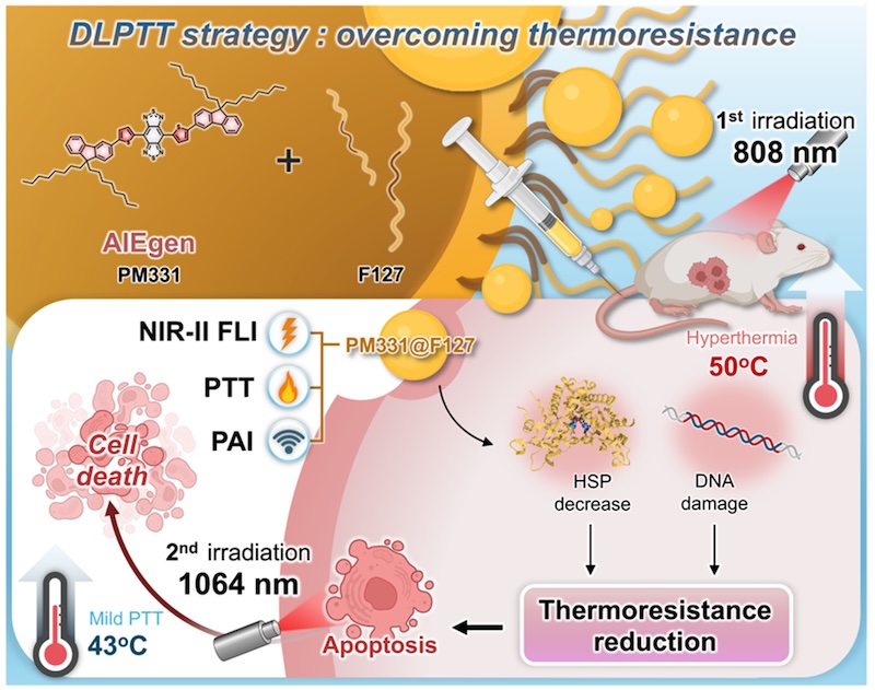 A dual-laser approach can integrate the benefits of traditional high-temperature and low-temperature photothermal therapy. Credit: SIAT/PNAS.