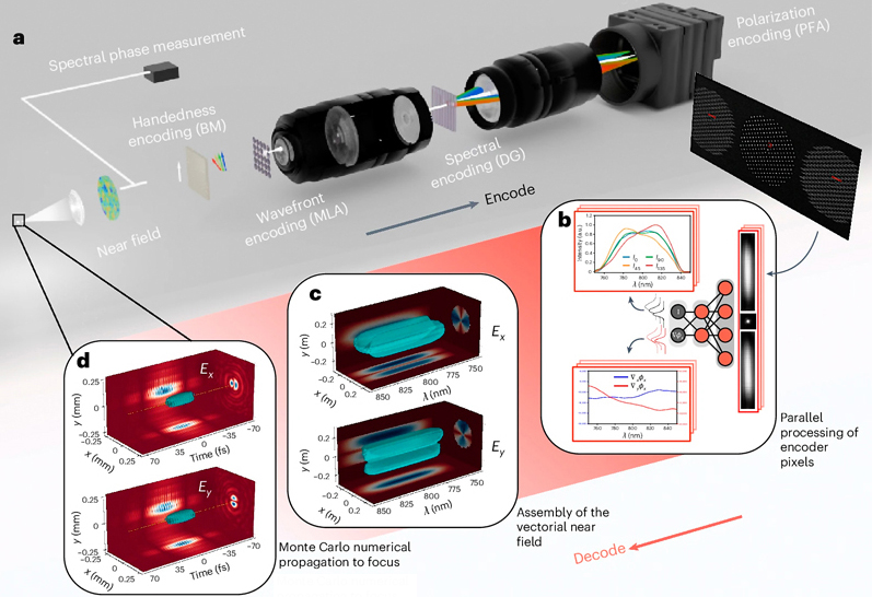 a, Optical setup task encodes the four-dimensional vector field onto a two-dimensional intensity measurement (not to scale). The collimated beam is split, with one part used to measure the spectral phase and the rest passing through a birefringent medium (BM), creating a relative spectral chirp between the polarizations. Next, a microlens array (MLA) encodes the wavefront. The resulting pattern is imaged by a 4f system with a diffraction grating (DG) placed near the Fourier plane, providing the spectral encoding, and a polarization filter array (PFA) is used on the sensor. b, Extraction and processing of the encoding pixels. At each point in space, the spectral and polarization information is recovered, with uncertainty estimates. c, Aggregation of the information from the encoder pixels into the vectorial near field. d, Propagation to focus.