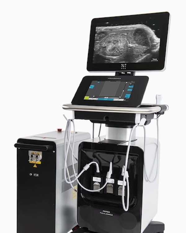 Advanced tissue characterization for anatomical accuracy. Credit: Fujifilm VisualSonics.