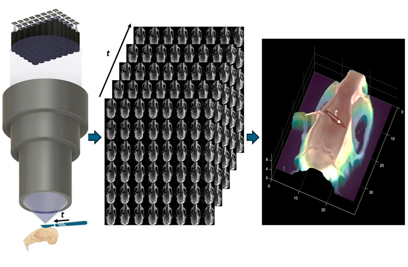 FiLM-Scope simultaneously captures 48 multiperspective images of a surgical scene. Using a custom reconstruction algorithm, these images can be converted into a dense 3D model. Image courtesy of Clare B. Cook (Duke University).