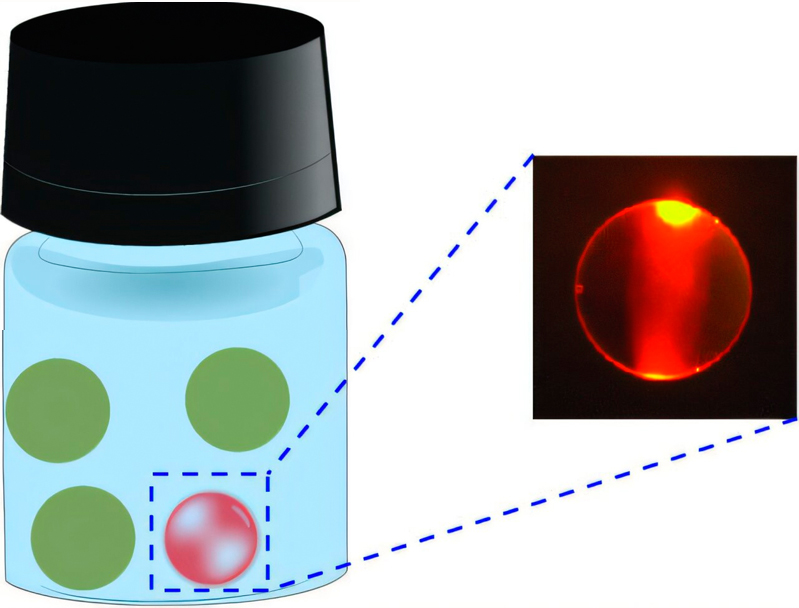 WGM lasing observed from olive oil droplets floating in water under the exposure of blue pulsed laser. Credit: Abdur Rehman Anwar, MaruÅ¡a Mur, MatjaÅ¾ Humar / JoÅ¾ef Stefan Institute, Ljubljana.
