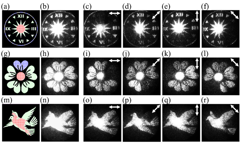 Experimental demonstrations of different vectorial holograms. Target holographic images to be reconstructed: (a) a vectorial clock; (g) a vectorial flower; (m) a vectorial flying bird. Segments and circles denote local polarization states of the images. Panels (b), (h) and (n) depict the experimentally observed patterns as three fabricated metahologram samples are illuminated by left-circular-polarized (LCP) light at 1064 nm, respectively. Panels (c)-(f), (i-l) and (o)-(r) depict the polarization filtered patterns with a rotatable polarizer placed at different angles in front of the charge-coupled device, as three metahologram samples are illuminated by LCP light at 1064 nm, respectively. Credit: T. Liu, C. Dai, D. Wang, et al., doi 10.1117/1.AP.7.5.056004.