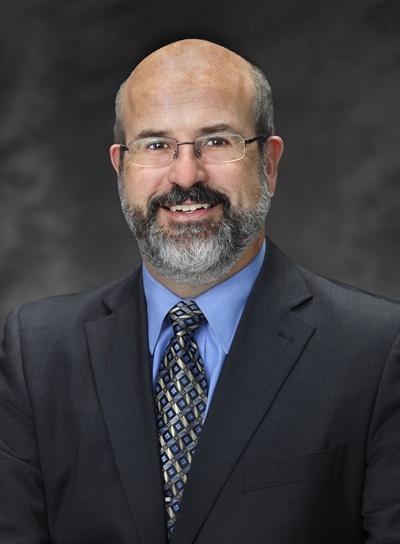 With a degree of understatement, DALSA CEO Brian Doody said that 2010 - in which DALSA revenues grew 30% - had been a strong year. The company will shortly become known as 