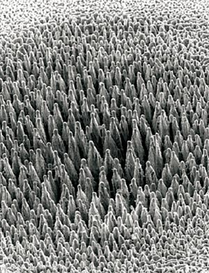 Textured silicon: The highly doped, optically opaque material is said to be thousands of times more sensitive to light than conventional semiconductor materials, and improves infrared sensitivity for both image sensors and solar cells. Credit: SiOnyx.