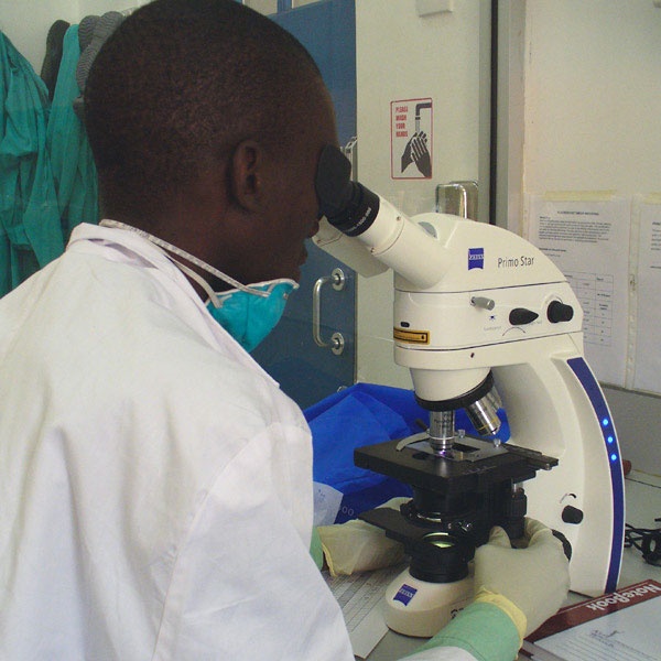 Robust, low-cost, portable TB diagnosis: using a blue LED in place of a mercury lamp in fluorescence microscopy yields numerous advantages in the field, particularly in developing countries where funds are scarce. Credit: Carl Zeiss.