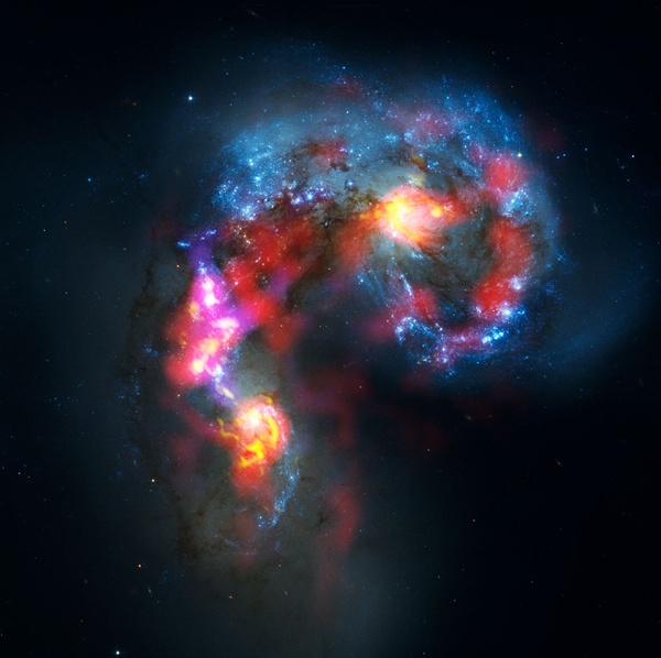 The first image produced by the ALMA telescope is a new view of two colliding spiral galaxies previously captured by the Hubble Space Telescope (HST). In this composite image, responses from twelve ALMA antennae were combined to yield the red, pink and yellow elements - showing clouds of cold, dense gas from which stars will form. The blue detail here shows the image captured by HST, revealing new-born stars in the galaxies. Credit: NASA/ALMA.