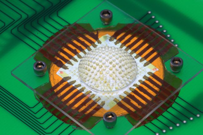 A completed arthropod-inspired camera mounted on a printed circuit board. Credit: John Rogers, University of Illinois at Urbana-Champaign.