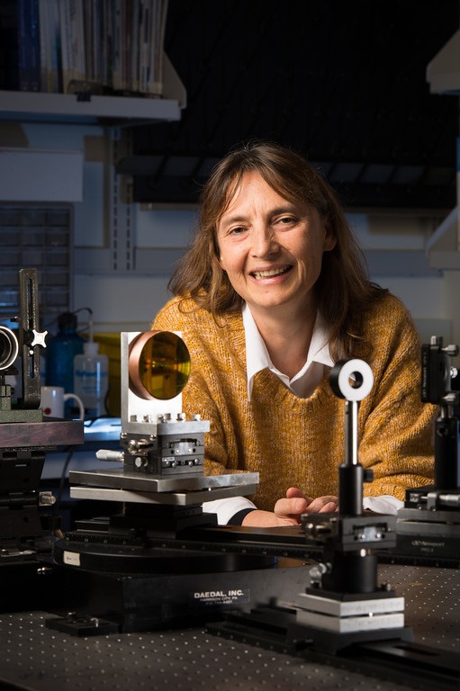 Jannick Rolland, director of the CeFO, has brought industry and academia together at the Center. Credit: J. Adam Fenster/University of Rochester.