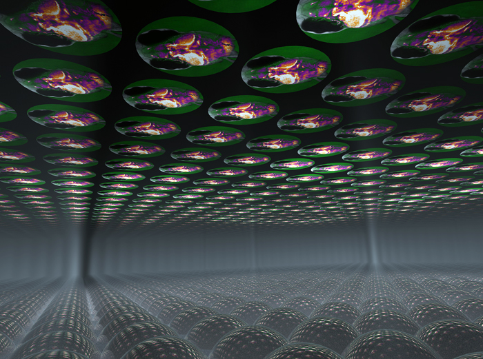 A microlens array captures different perspectives of the sample, in this case a live larval zebrafish.