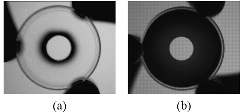 Near-infrared (left) and visible (right) images of the aperture filter, used in the new dual-mode imager. Only the central region of the filter can transmit visible light, while the outer portion can only transmit the near-infrared light used for fluorescent imaging. Image: <em>Optics Letters</em>/OSA.