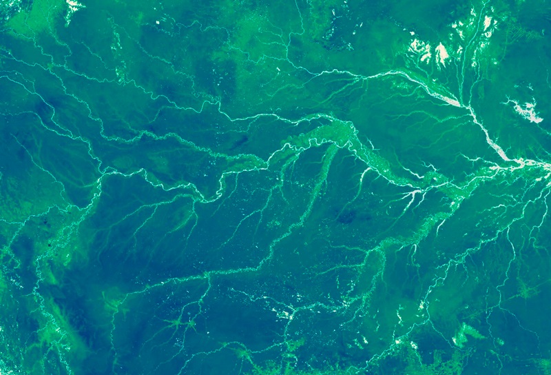 The two photonics-based Earth-observing instruments will help give scientists a better understanding of how forests and ecosystems are being affected by changes in climate and land use. This image of the Amazon rainforest is from a 2010 global map of the height of the world's forests, based on multiple satellite datasets. Credit: NASA Earth Observatory
