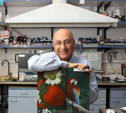 Prof. Shlomo Magdassi, director of The 3D and Functional Printing Center at The Hebrew University of Jerusalem (Photo: Nati Shohat for The Hebrew University)