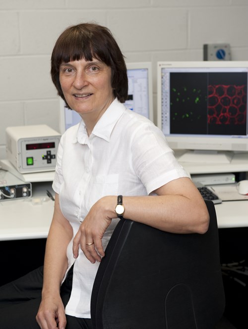 Ewa Goldys from the Centre for Nanoscale Biophotonics in Sydney. The CNBP brings together expertise from Macquarie, Adelaide and RMIT universities, and is one of several flagship research centers set up by the Australian Research Council (ARC) in recent years. Photo: CNBP/Flickr. 