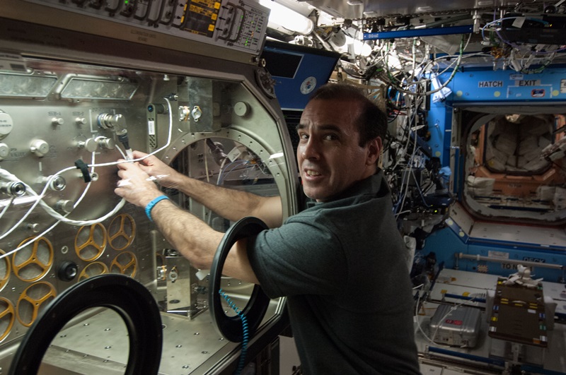 NASA astronaut Rick Mastracchio, Expedition 38 flight engineer, prepares to test the UV-LED light decontamination hardware, which is being used for life science experiments inside the Microgravity Science Glovebox (MSG) on board the International Space Station. Photo: NASA.