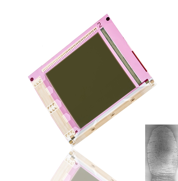 A flexible fingerprint sensor on an ultra-thin plastic base could be used in biometric car steering wheel, suggest developers FlexEnable and ISORG. The new technology relies on organic photodetectors. Photo: FlexEnable.