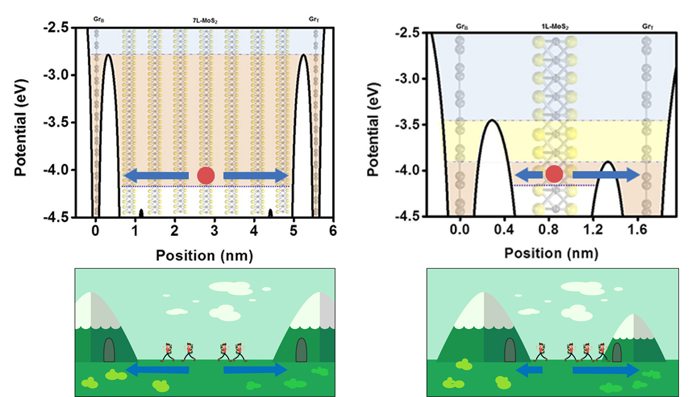 Mechanism to explain why the device with one-layer MoS2 generates more photocurrent than the seven-layer MoS2 one. (top) In the one-layer device MoS2 (right), the electron (red circle) has a higher probability to tunnel from the MoS2 layer to the GrT because the energy barrier (white arch) is smaller in that junction. In the seven-layers MoS2 device (left) instead, the energy barrier between MoS2/GrT and MoS2/GrB is the same so electrons do not have a preferred direction flow. More energy is generated in the one-layer MoS2 device because more electrons flow in the same direction. (bottom) Imagine that people want to cross a mountain without too much effort. If the mountains have different height (right), more people choose to climb (or better, to tunnel) the small mountain, while if the mountains have the same height (left), they do not have a preferred route. Image: IBS.