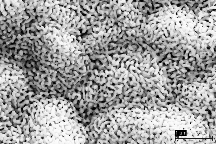 In order to be able to control each point of light independently a gold nano-sponge establishes the contact between each individual pixel and the driver chip. The nanoporous gold structure compresses like a real sponge and can be precisely adapted to the topography of the component. &copy; Fraunhofer IZM