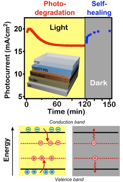 Photo-degradation under sunlight and self-healing in the dark of the photocurrent in organometallic halide perovskite solar cells (top). Illustration of the light activation of meta-stable trap states during photo-degradation, and curing of these traps during self-healing (bottom). Credit: LANL.
