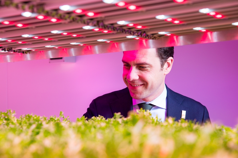 Martijn van Dam, the Dutch agriculture minister and also president of the European Union's Agriculture & Fisheries Council, sees how LED lighting can be used to grow crops like lettuce indoors. The same technology has also been used on board the International Space Station. Photo: Philips Lighting.
