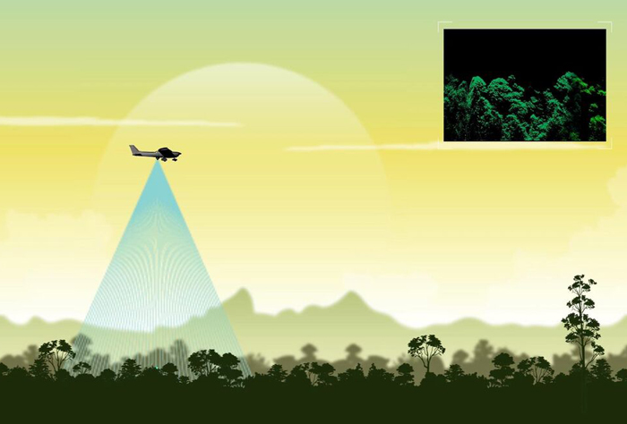 Tree-mendous; an airborne lidar spotted the giant Yellow Meranti. Inset is the forest profile image. All photos/Images Cambridge University / Sabah Forestry Department.