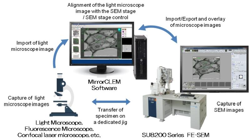 An overview of the MirrorCLEM system. Credit: Hitachi/RIKEN.