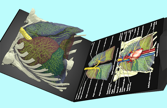 The 3D Anatomy Atlas contains multiple holographic images.