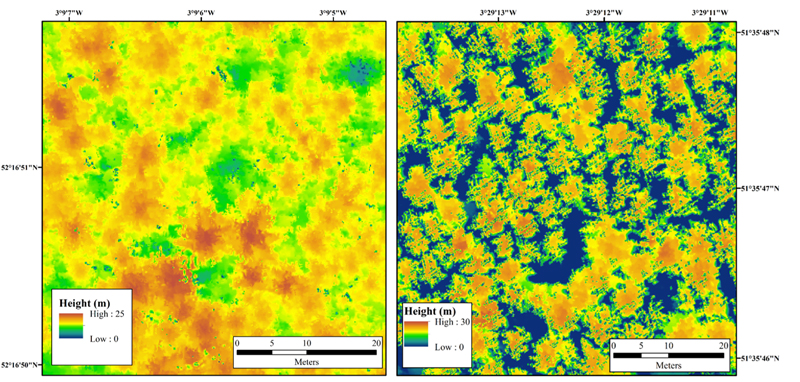 Lidar-scanned larches: not Infected (left); infected (right). Image: Leicester University / Bluesky.