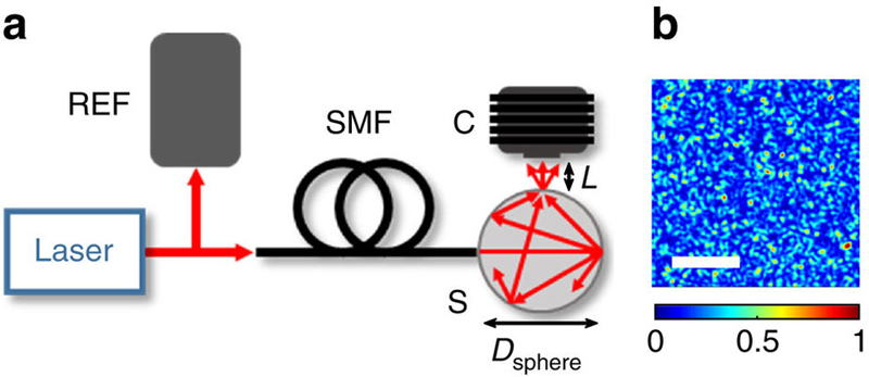 The new wavemeter experimental setup. (a) Laser light is delivered into an integrating sphere (S) of diameter Dsphere, via an angled single mode fibre (SMF), where it undergoes numerous scattering events. A camera (C) located at a distance L from the integrating sphere observation port captures the speckle patterns. A wavemeter or Fabry-Perot interferometer (REF) is used to benchmark the speckle wavemeter. (b) An example of a speckle pattern captured by the camera at a wavelength of 780 nm with an image size of 512 x 512 pixels (with individual pixels of 4.5 x 4.5 &mu;m2). The white scale bar denotes 200 pixels, and the colour bar shows the intensity in normalized units. Courtesy M Squared / St Andrews University / Nature Communications doi:10.1038/ncomms15610. 