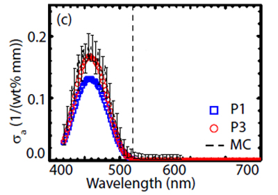 Absorption curves vary according to measurement methods: blue curve is according to diffusion theory; red curve from Twente's new measurement approach; black curve is numerical validation.