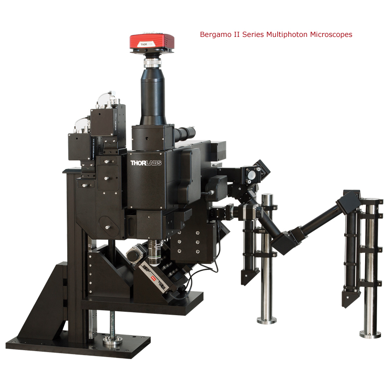Thorlabs Bergamo multi-photon microscopy platform is one of the systems on which the new technique will be available as an add-on module. Credit: Thorlabs.