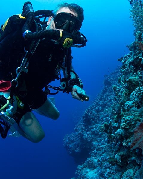 Recreational divers are said to increasingly use 