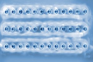 OZ Optics Launches New Line of 2D-Fiber Array Assemblies for Data Transmission and Optical Imaging 