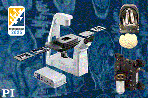 Explore PI's High-Precision Motion Control Solutions for Advanced Life-Science Research at Neuroscience 2025 